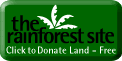 Link zur Rainforest-site